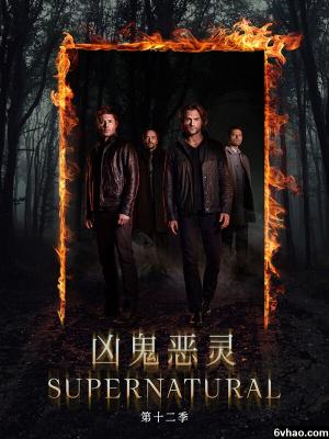 歌手特辑